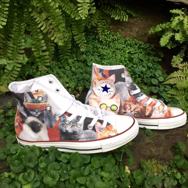 Baggins Original Hi Top Cool Cats